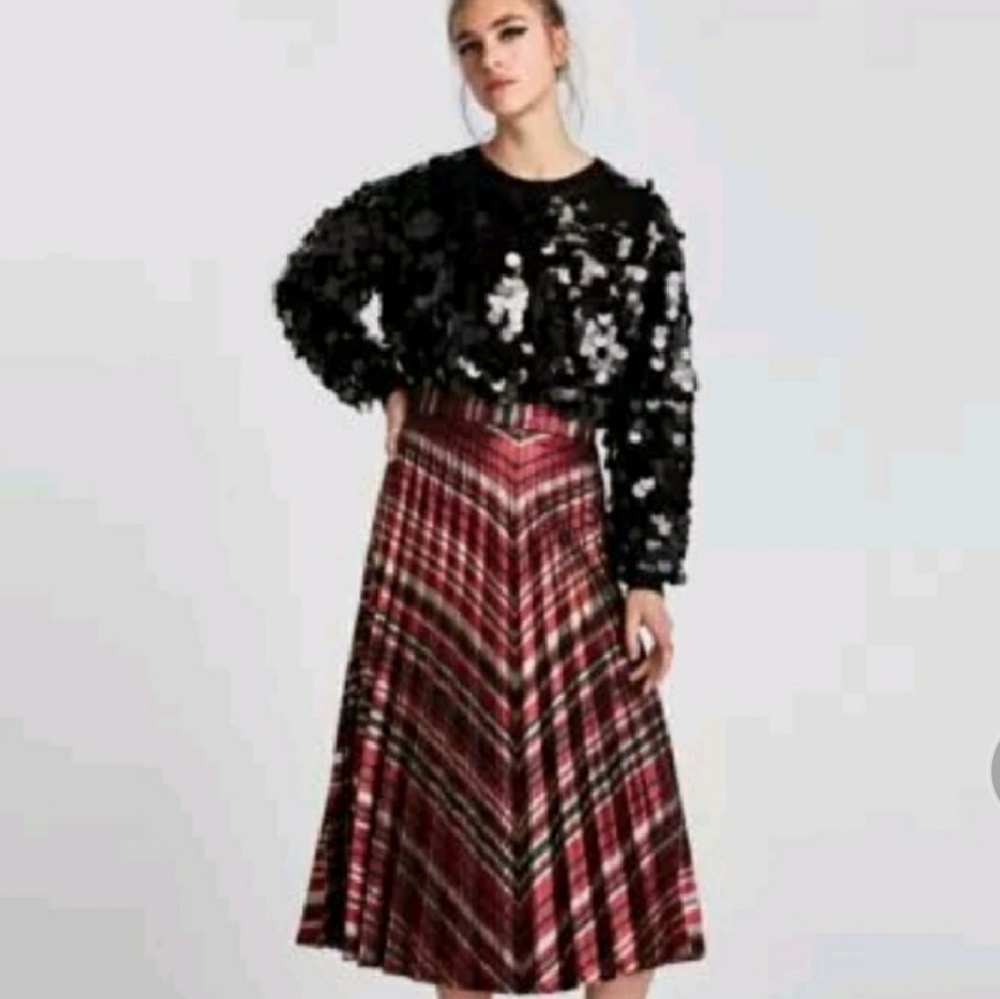 Zara Skirt
